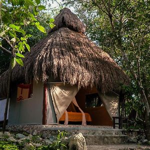 Akumal Natura Glamping